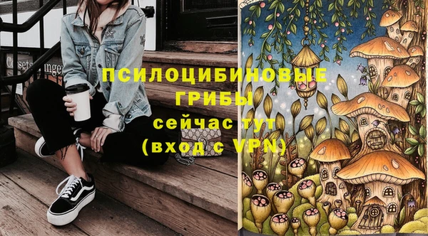 мдма Новодвинск