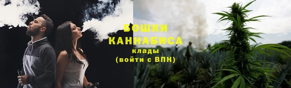мдма Новодвинск